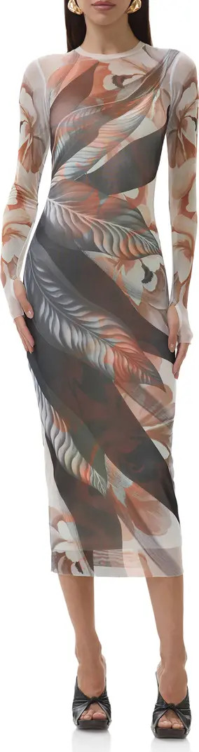 Ashland Print Long Sleeve Mesh Midi Dress | Nordstrom