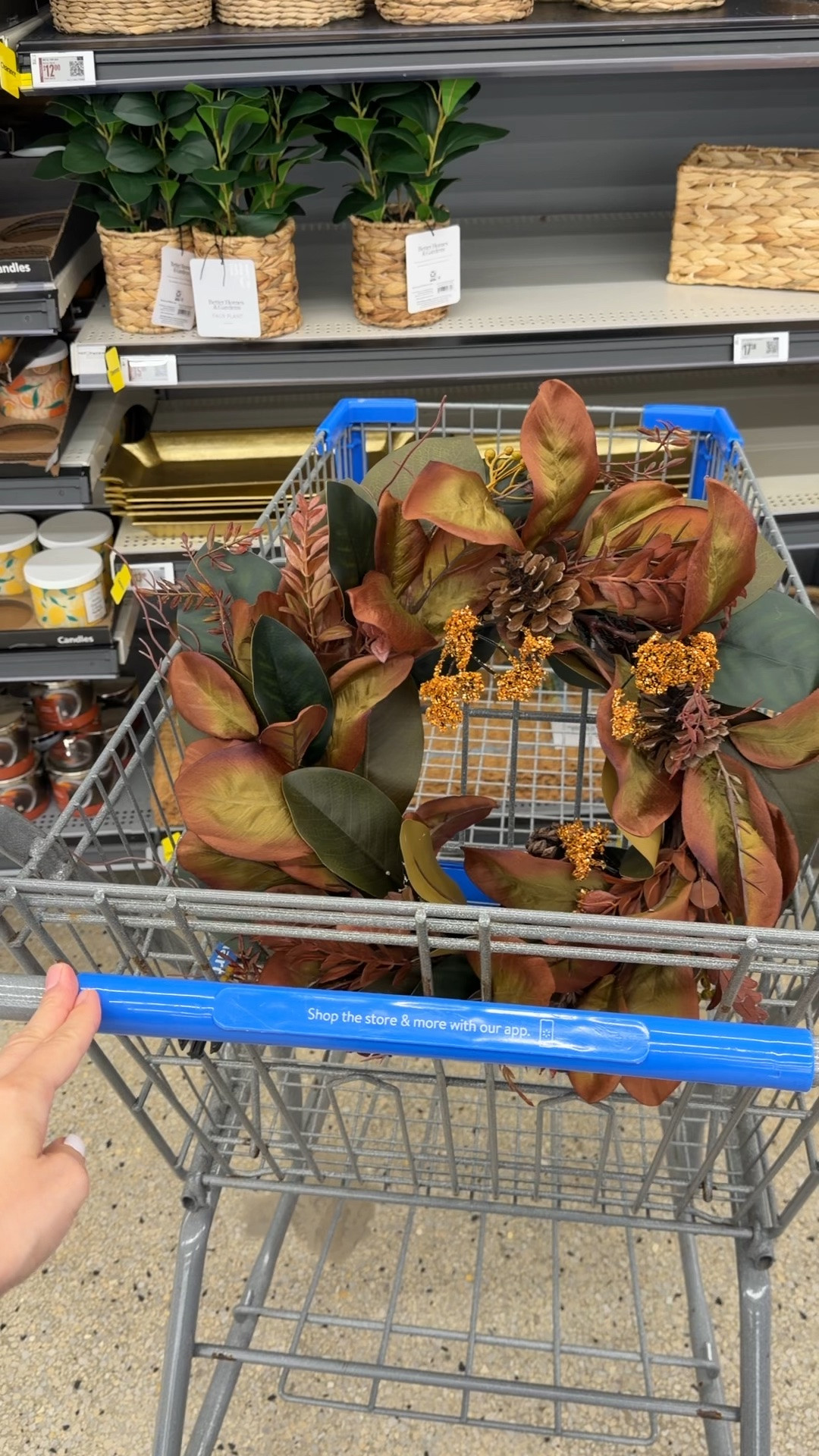 Stunning new fall wreath at Walmart for just $25! Love the colors and magnolia leaves. #walmarthome fall decor

#LTKHome
