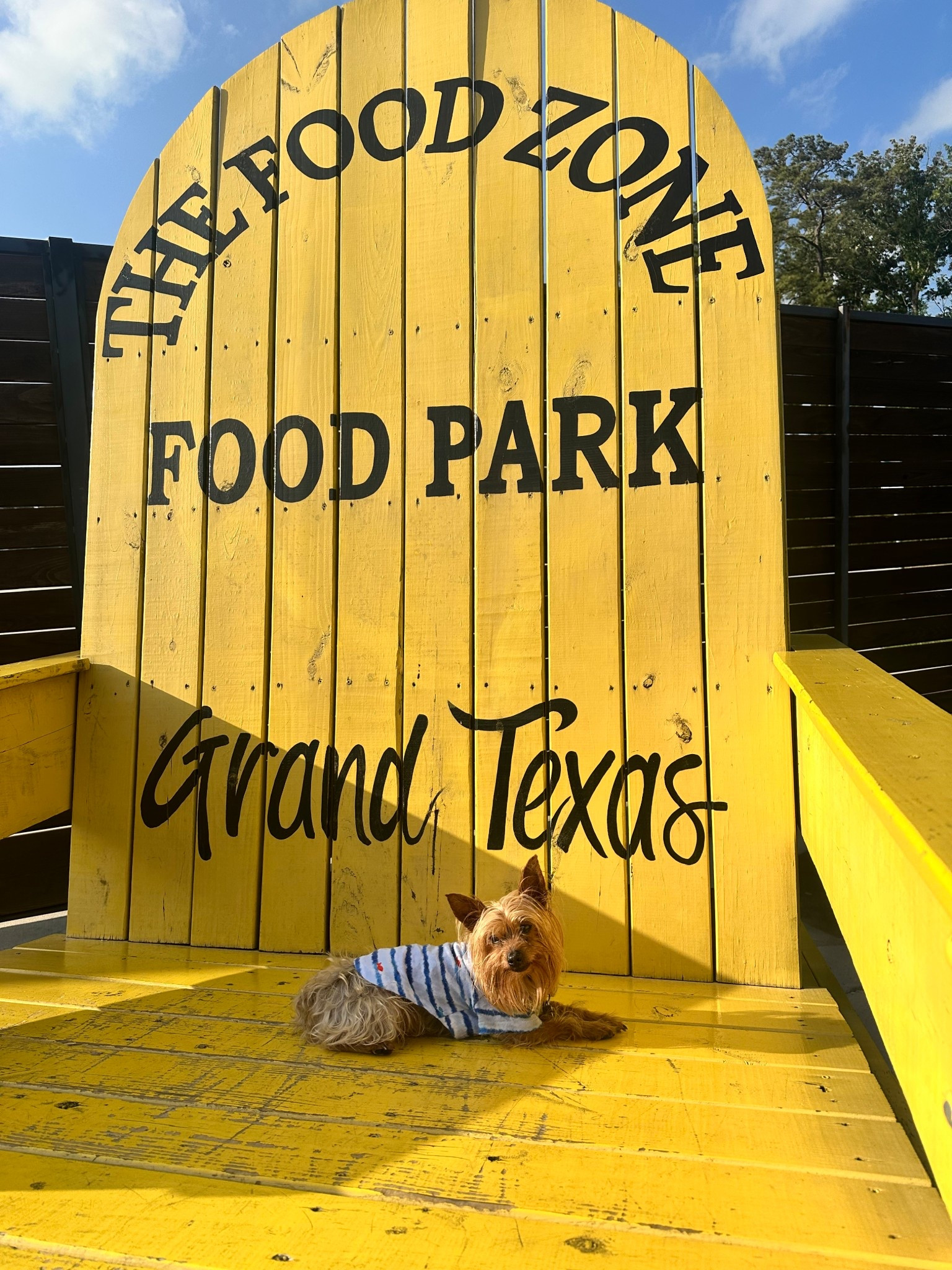 My fur baby loves taking photos! 

#family #dog #furbaby #dogmom #dogfluencer #texas #trending 

#LTKmomlife