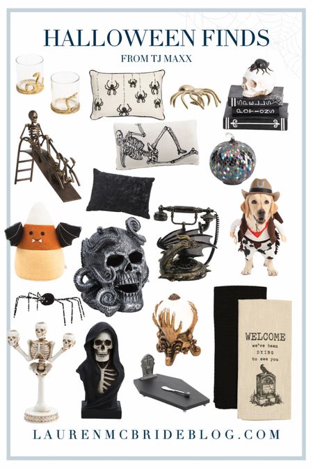 Halloween decor finds from TJ MAXX (feat a cute dog costume 🤠🤠) 

#LTKSeasonal #LTKhome #LTKHalloween