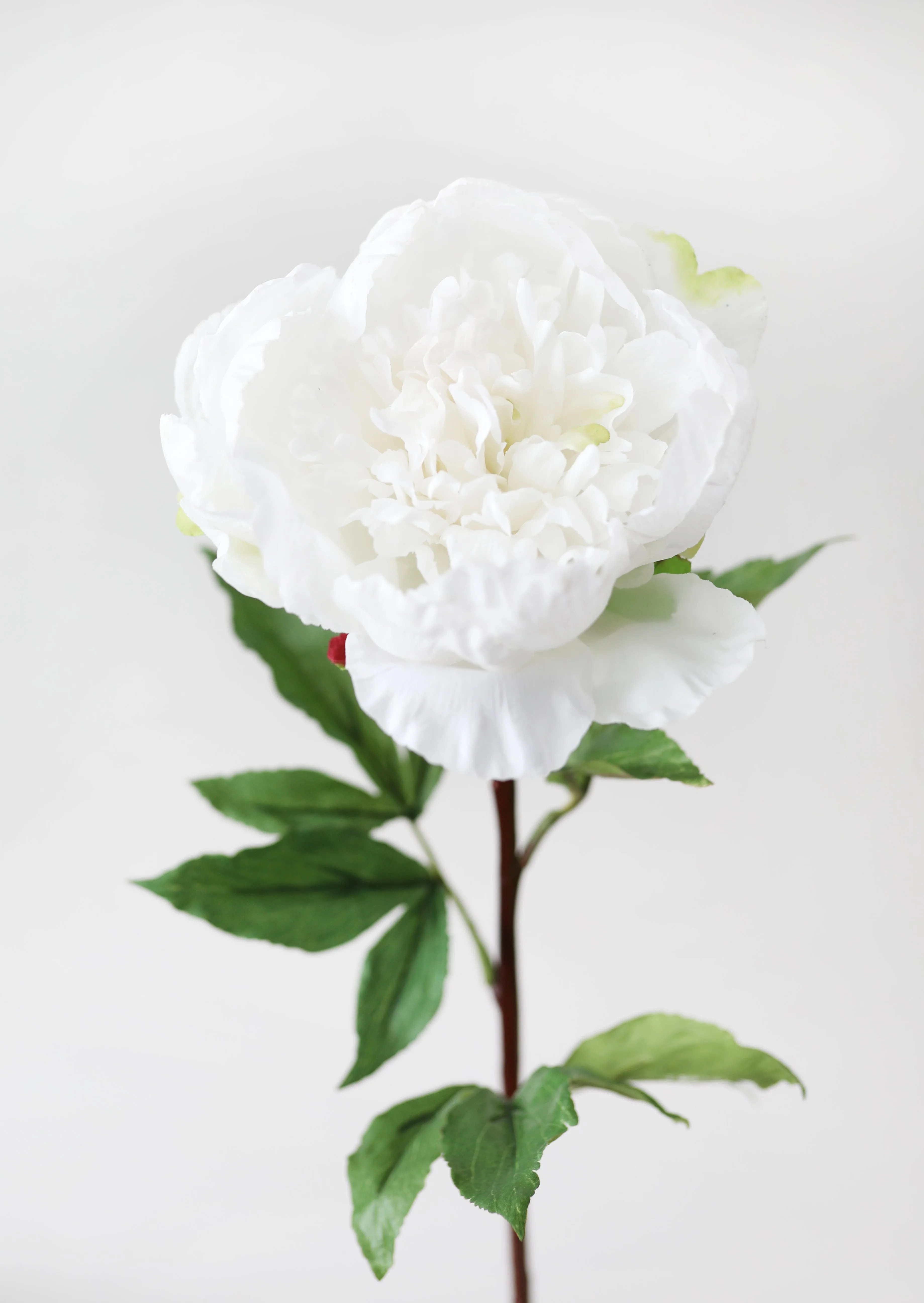Cream White Faux Real Touch Peony Flower - 30" | Afloral