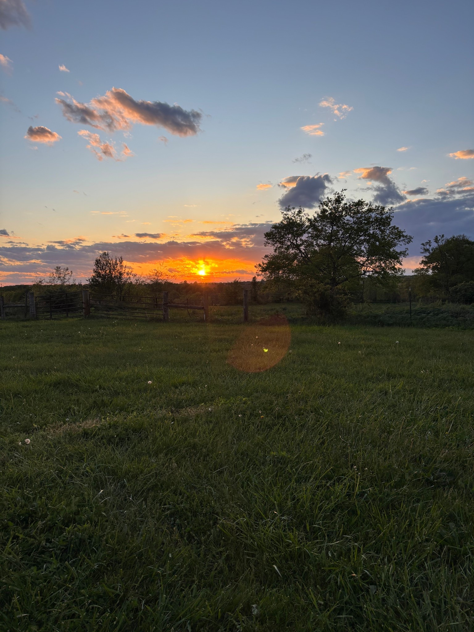 Just a nightly thing at this point! Sharing all my aerie favs! The LtkxAerie sale starts on Friday! Score an extra 20% off on top of already existing sale prices too!

#LTKMothersDay #LTKxAerie #LTKdayinmylife