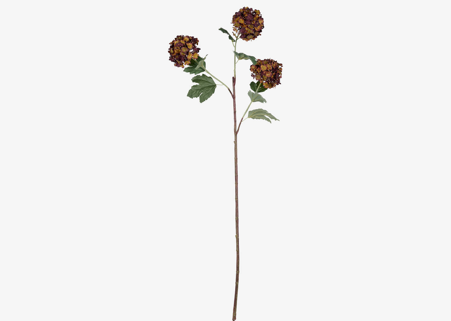 Raylee Snowball Branch Brown | Urban Barn