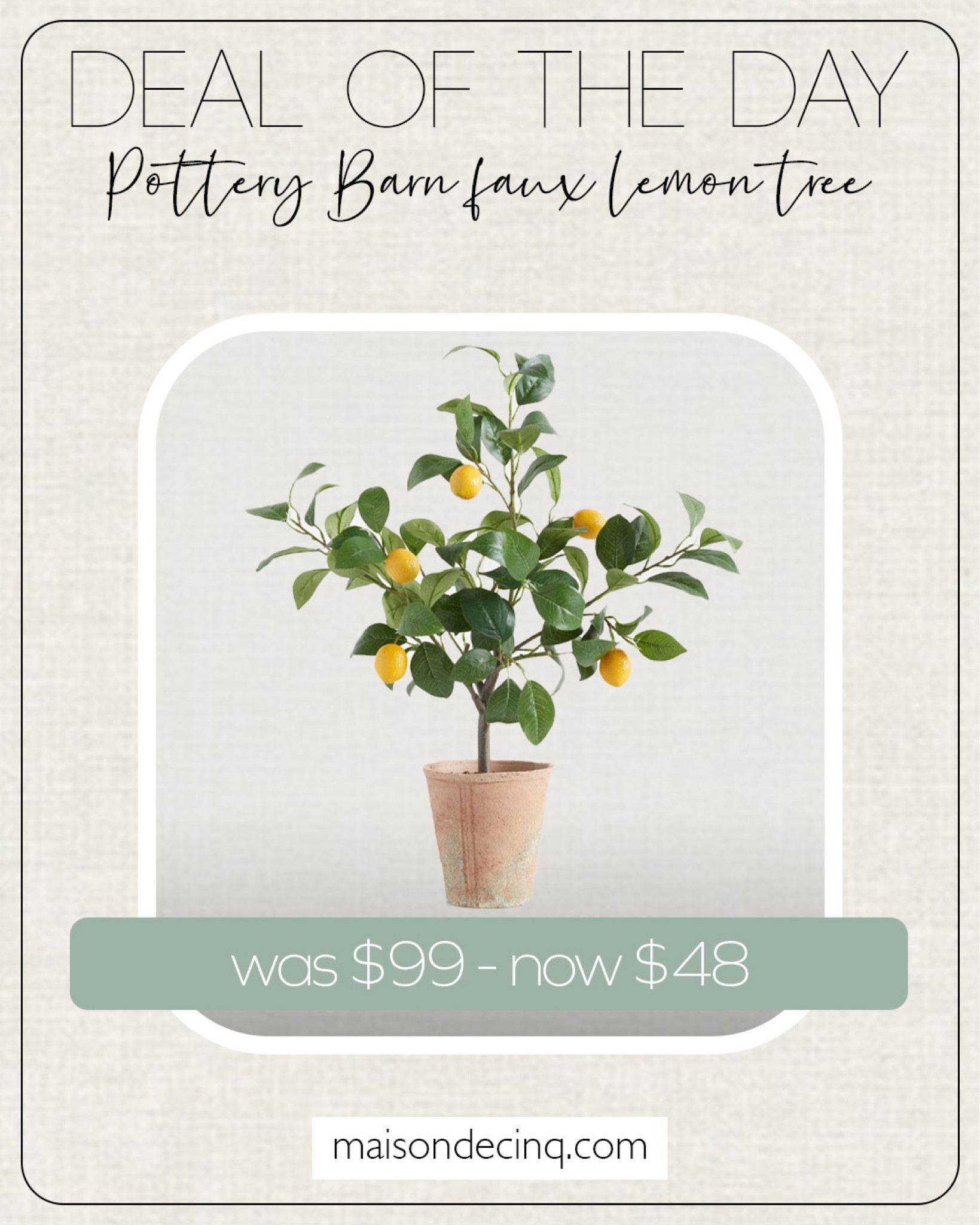 This lemon tree is so cute and it’s now on clearance for half off!!

#summerdecor #homedecor #potterybarn 

#LTKsalealert #LTKunder50 #LTKSeasonal