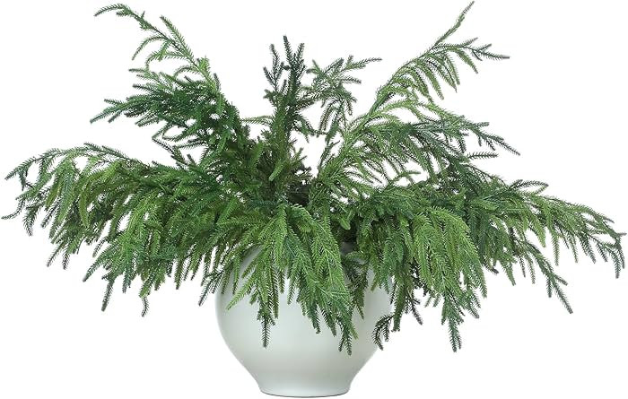 Jutom 12 Pcs Christmas Norfolk Pine Branches, Norfolk Pine Artificial Christmas Branches DIY Craf... | Amazon (US)