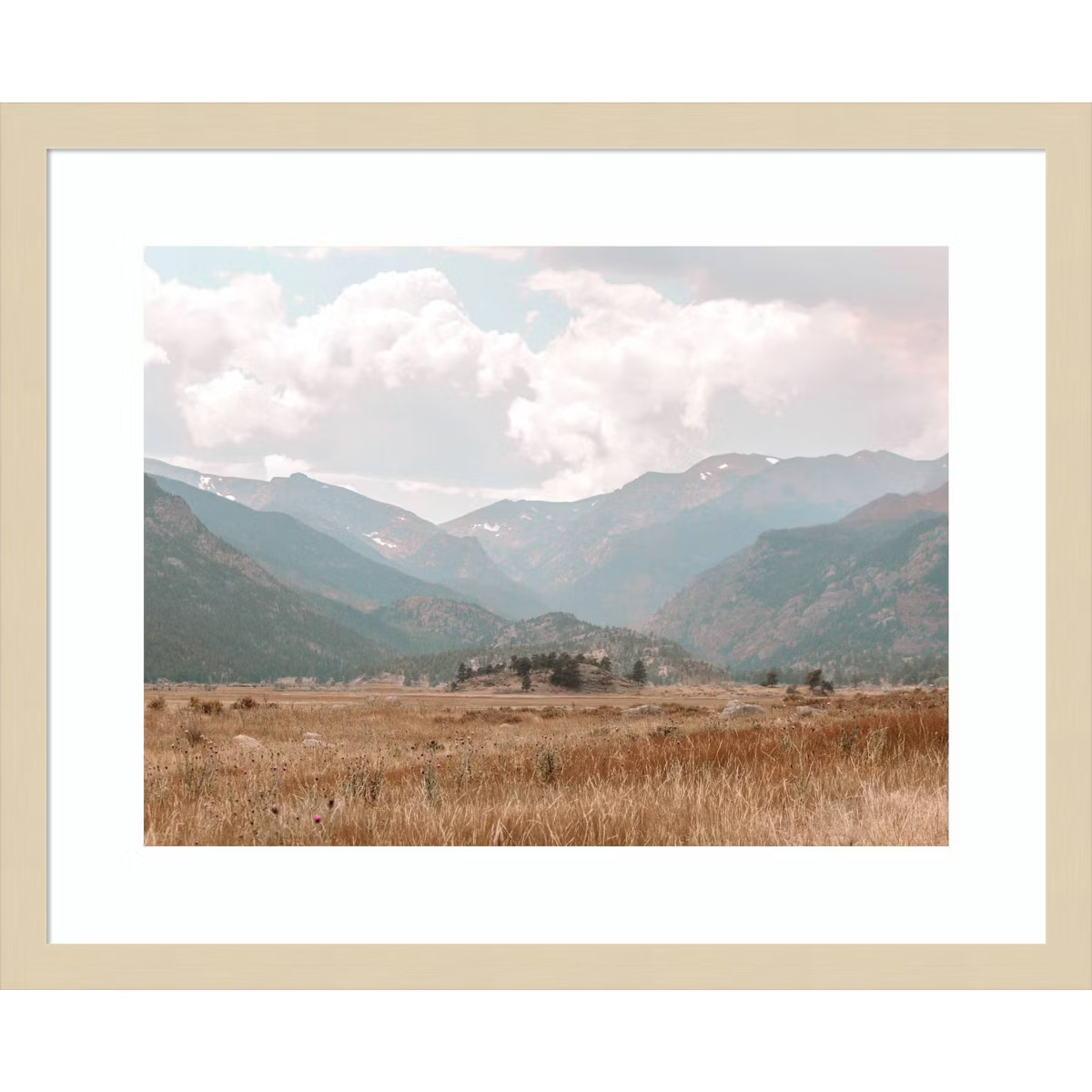 Amanti Art Wanderings by Alicia Abla Wood Framed Wall Art Print | Target