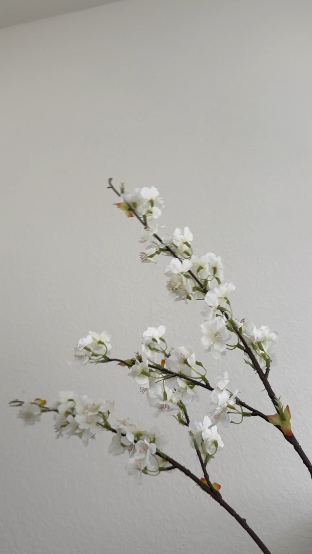 Artificial cherry blossoms 

#LTKHome