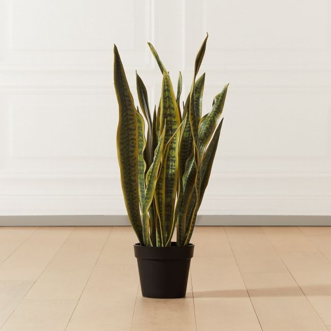 Faux Potted Snake Plant 3' | CB2
