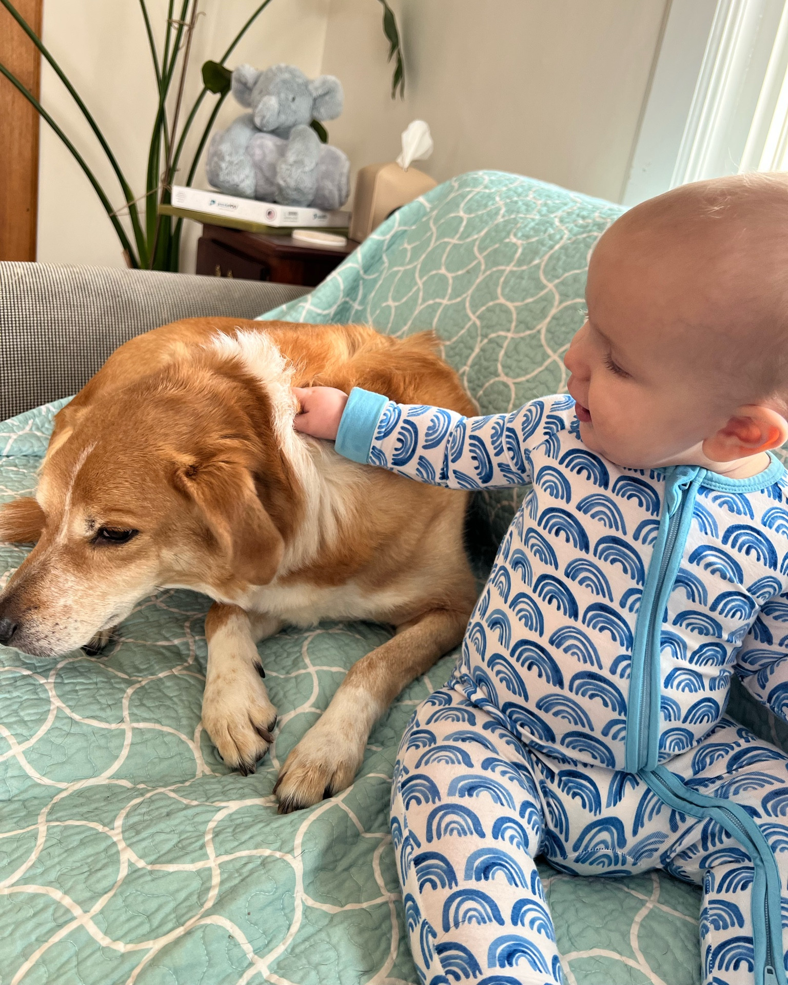 We looove little sleepies 🩵 buttery soft & so stretchy! 

#LTKBaby