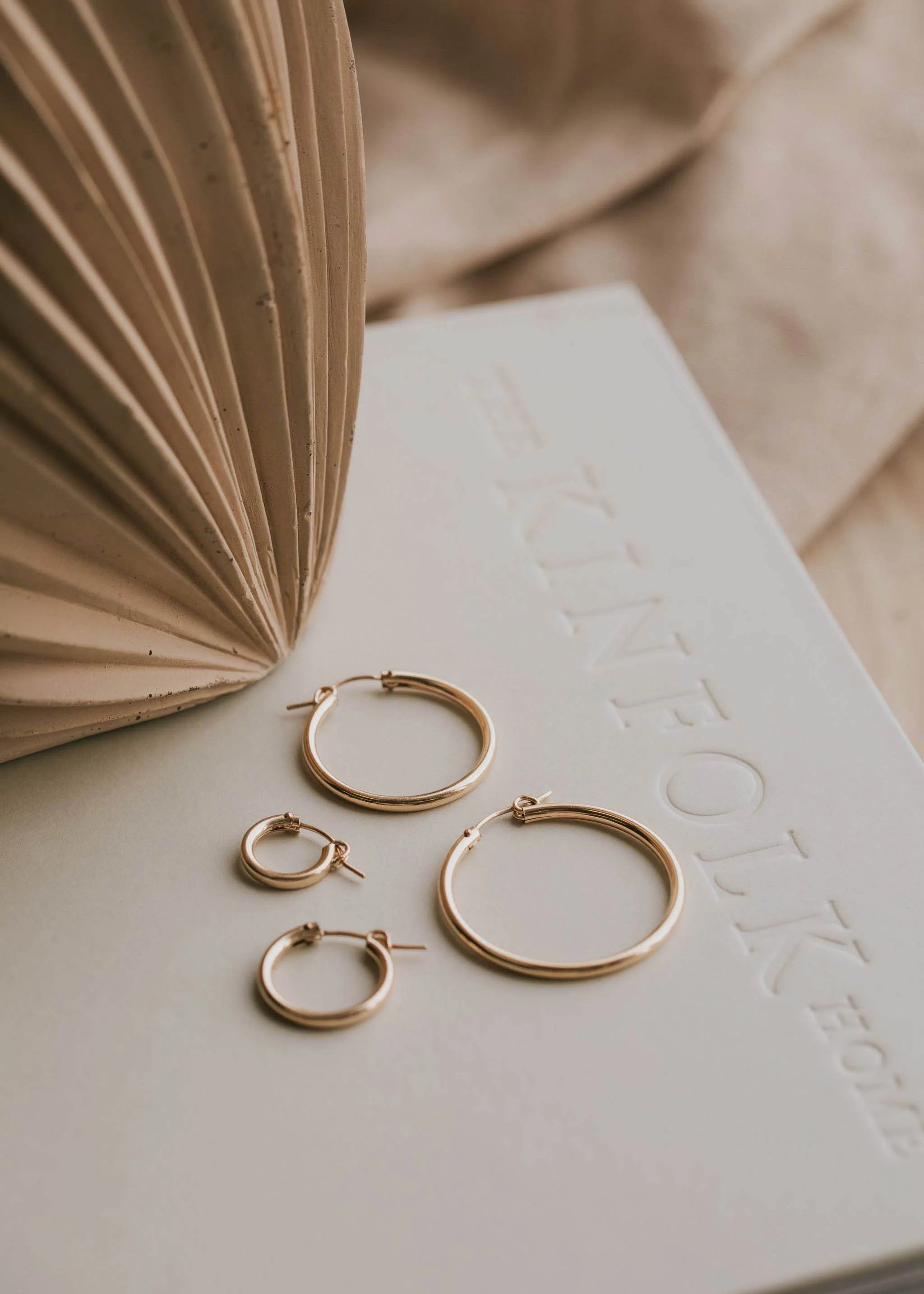 Bold Hoops | Hello Adorn