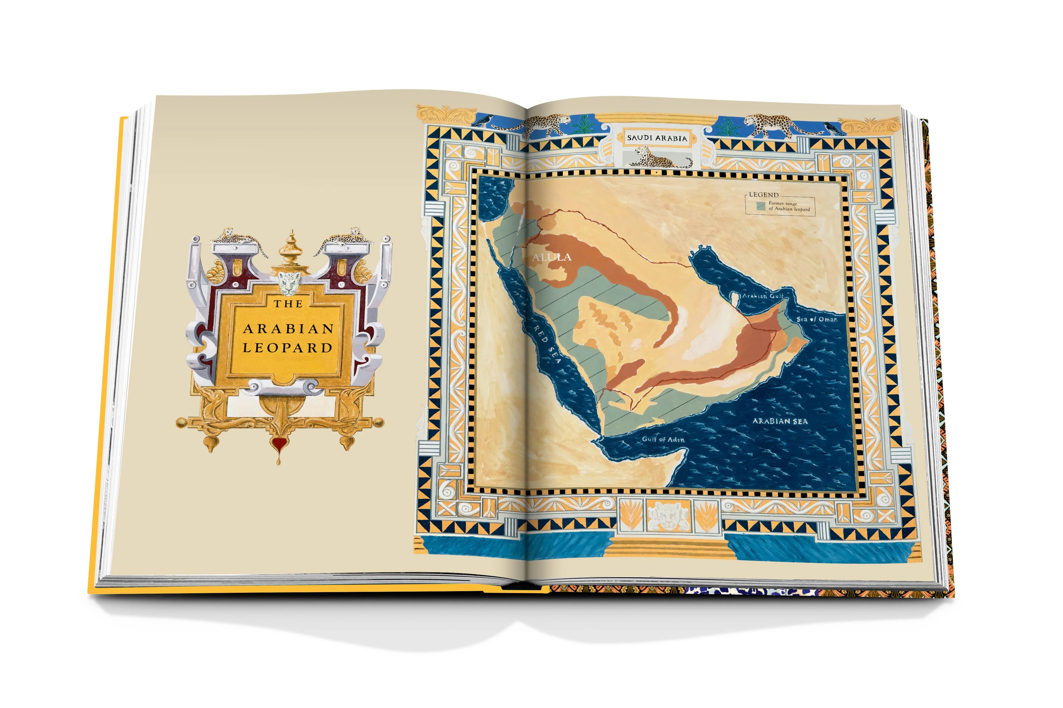 Arabian Leopard by Andrew Spalton - Coffee Table Book | ASSOULINE | Assouline