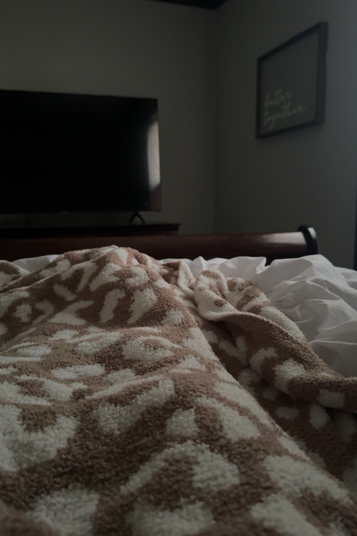 I now understand the hype of these blankets. Easiest add to cart!! 

#LTKFindsUnder50 #LTKGiftGuide #LTKHome
