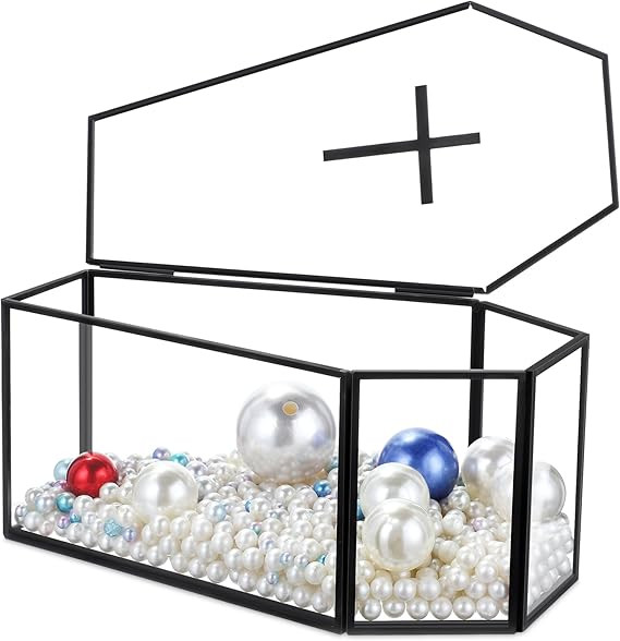 Sasylvia Glass Coffin Box Coffin Jewelry Box Coffin Terrarium Gothic Jewelry Box with Lid Coffin ... | Amazon (US)