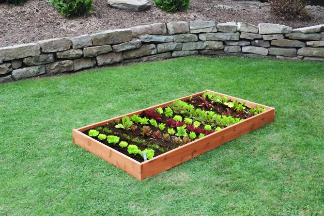 Gracie Oaks Buckingham 6 ft x 3 ft Wood Raised Garden Bed | Wayfair North America