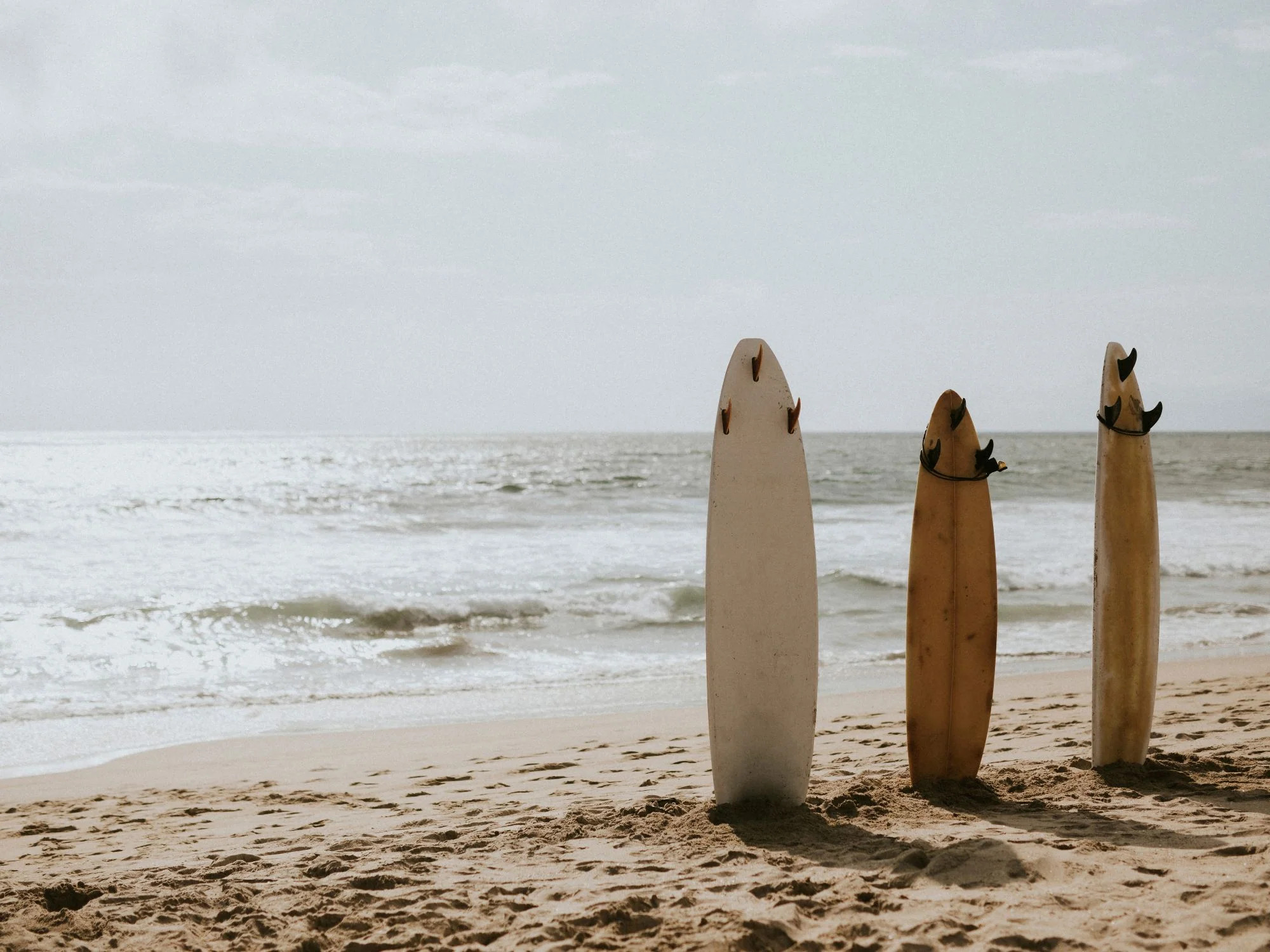 Surfside Trio | Collection Prints