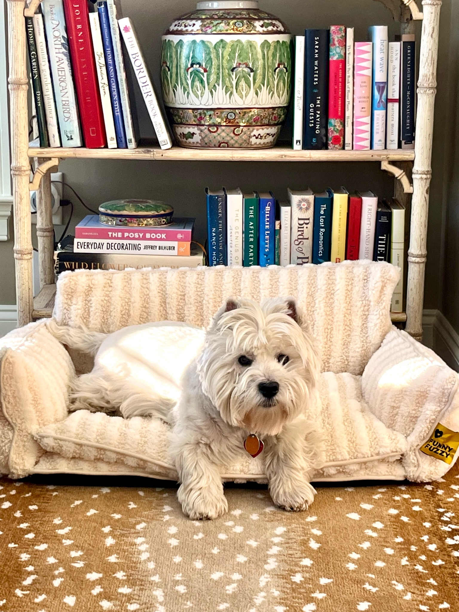 Your dog deserves a sofa bed. Soft and fuzzy, it’s perfect for lounging and naps. Best part is it all unzips for washing. Wellie has a large. On sale now PLUS use my extra code PHAEDRA15 and save an additional 15% of the sale price!

#LTKGiftGuide #LTKHoliday #LTKhome