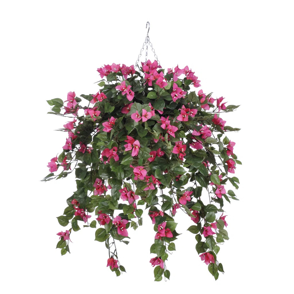 House of Hampton® Faux Bougainvillea Trailing Hanging Flowering Plant in Suspended Planter & Rev... | Wayfair North America