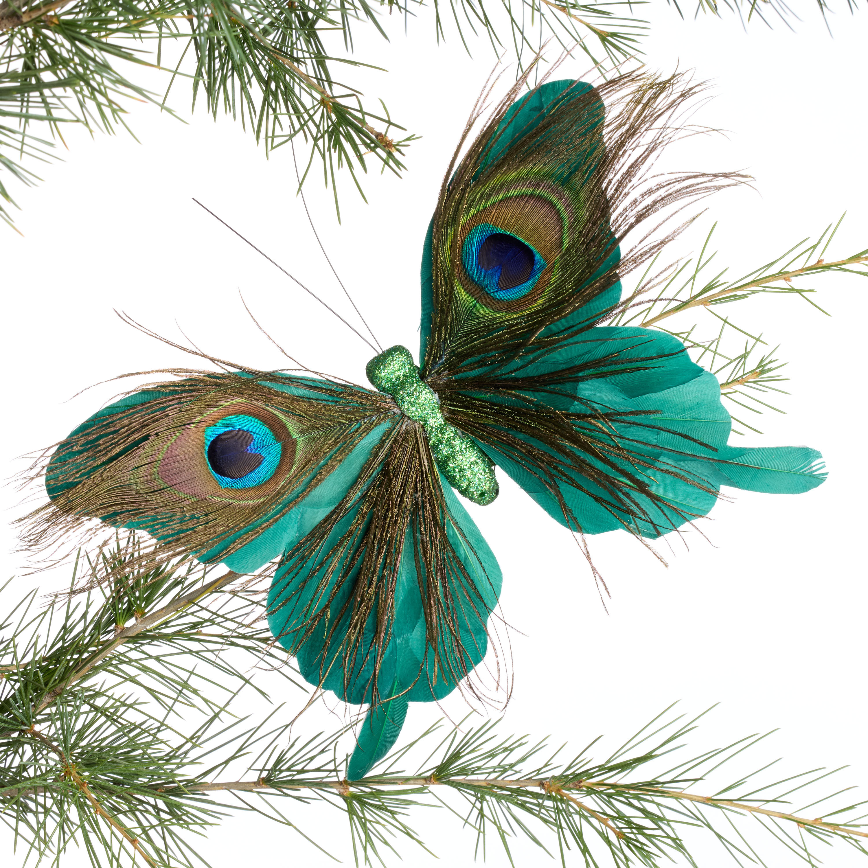 Green Feather Butterfly Ornament | World Market