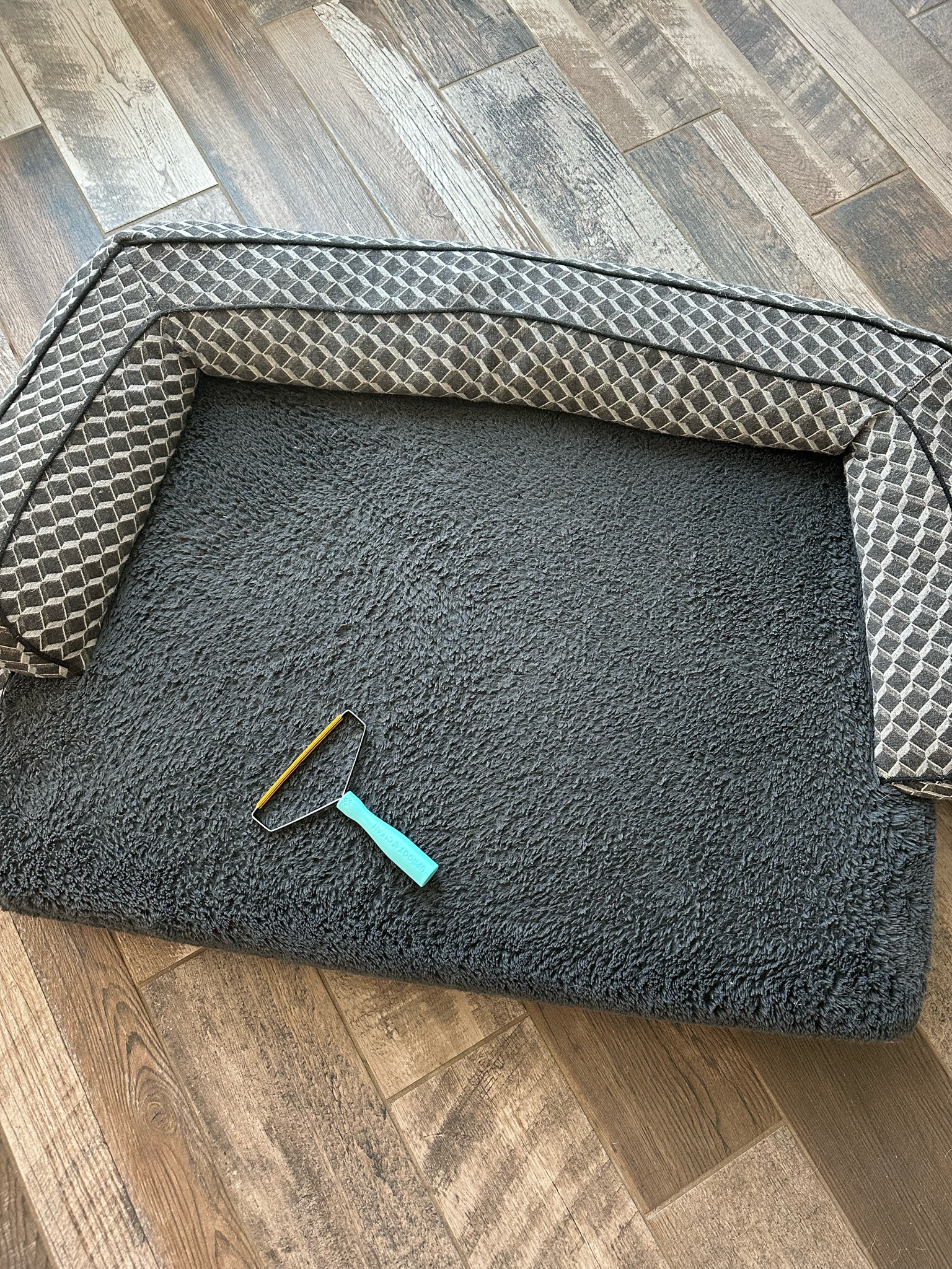 Dog hair removal scraper tool 
carpet/couch/rug scraper 

#LTKHome #LTKFindsUnder50 #LTKFamily