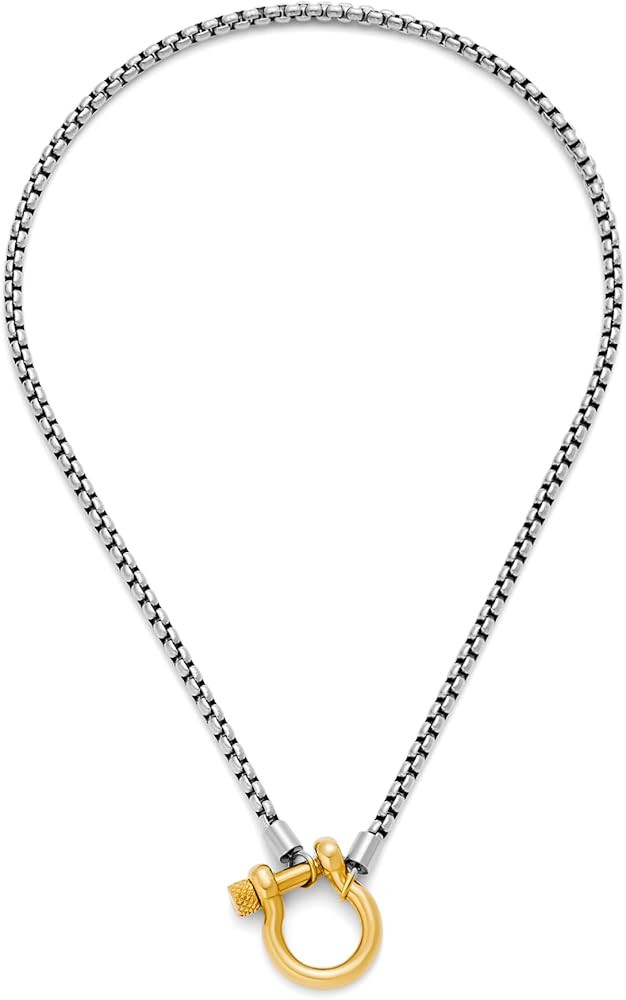 Gold/Silver Chunky Horsebit Necklace for Women Western Horseshoe Necklaces Carabiner Lock Pendant... | Amazon (US)