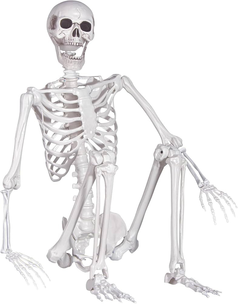 Halloween Skeleton, Realistic Life Size Skeleton with Movable Joints for Halloween Party Haunted ... | Amazon (US)