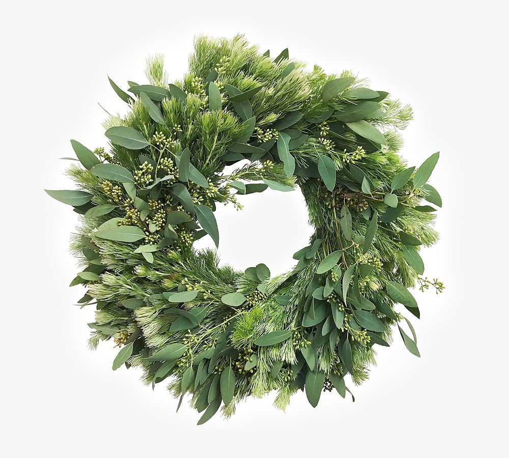 Fresh Wooly Bush and Eucalyptus Wreaths | Pottery Barn (US)