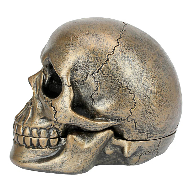Memento Mori Skull Table Clock Bust | Wayfair North America
