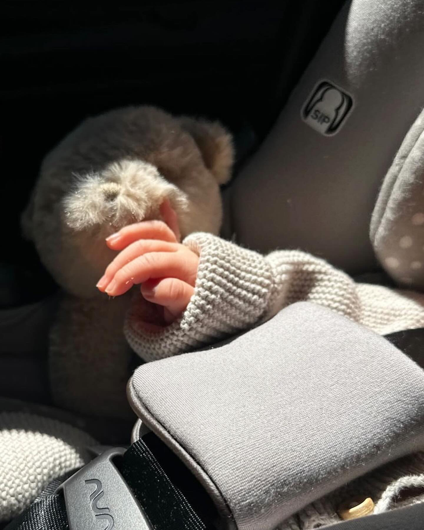 zara teddy  

 #LTKBaby #LTKKids #LTKFamily