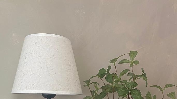 Sunrise Alarm Clock White Noise Machine: Natural Wake Up Light - Dimmable Clock with Bluetooth Sp... | Amazon (US)