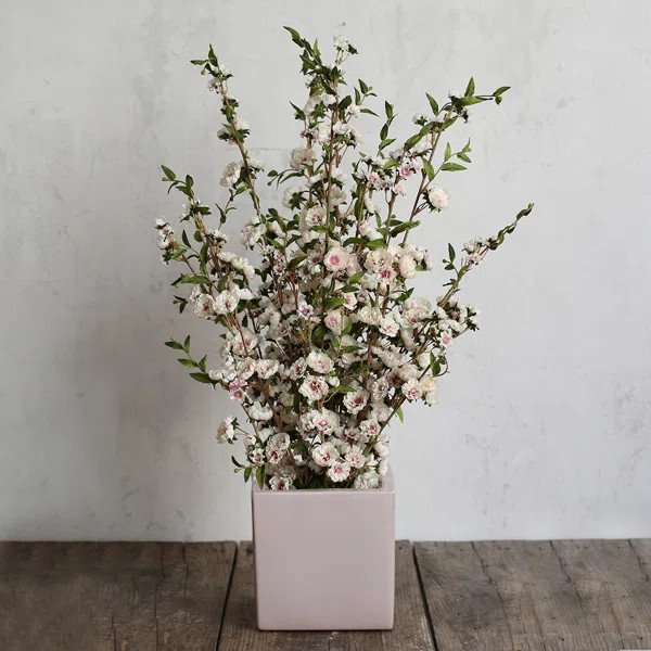 Shabby Chic® Sugar Plum Fairy | Wayfair North America