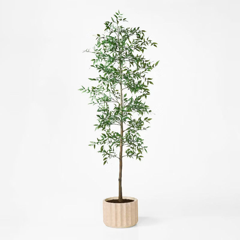 Shady Lady Tree in Ceramic Pot - Threshold™ designed with Studio McGee | Target