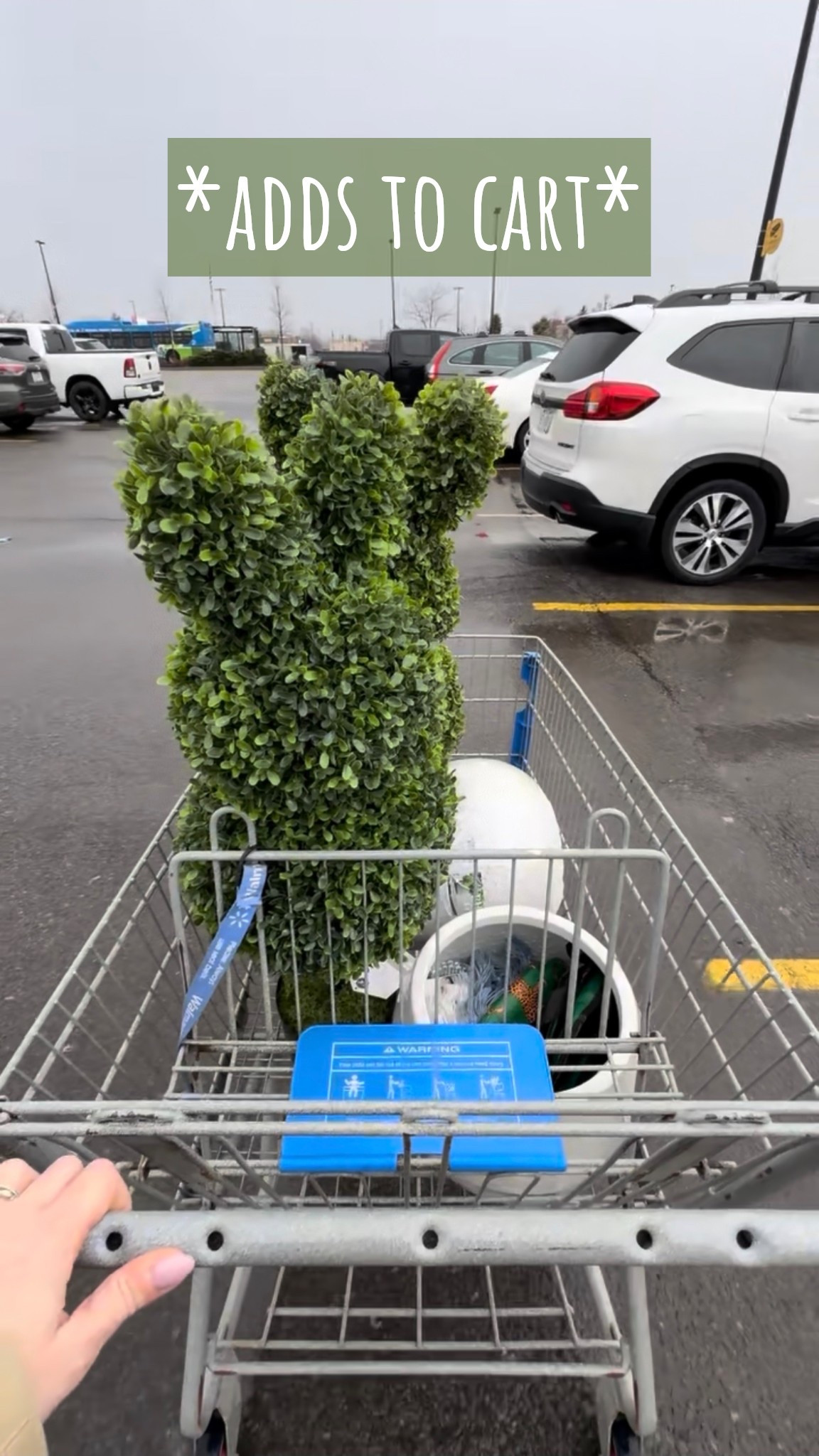 $40 Easter bunny topiary from Walmart! So cute, and will be so fun to style on the front porch with a bow & planter!



#LTKSeasonal #LTKHome #LTKmomlife