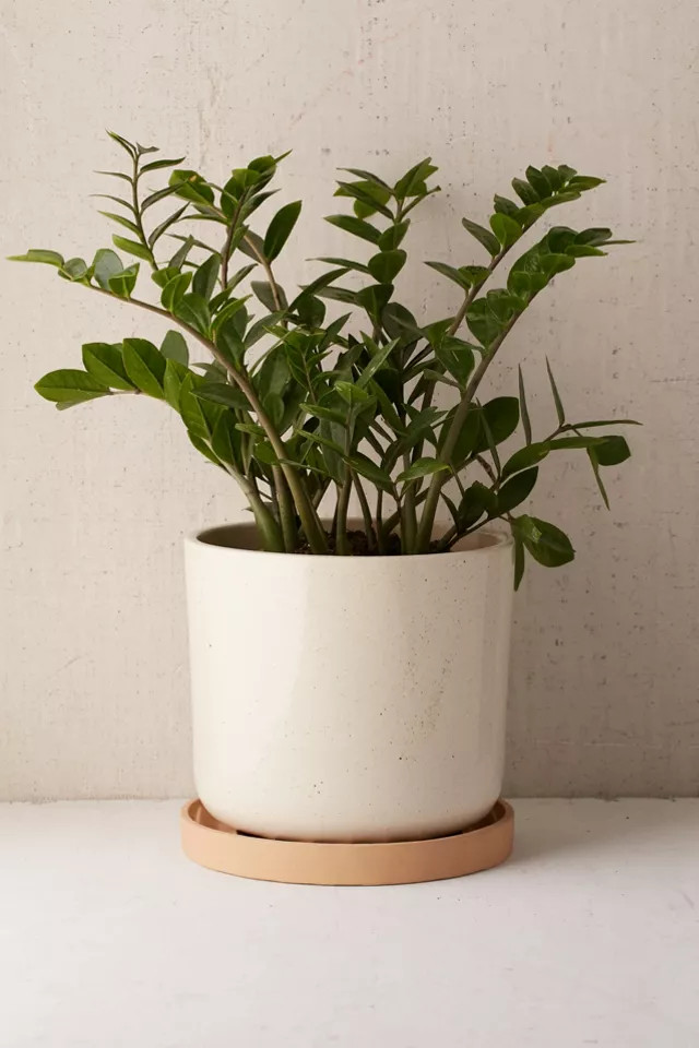 Parker 10" Planter + Drainage Tray Set | Urban Outfitters (US and RoW)