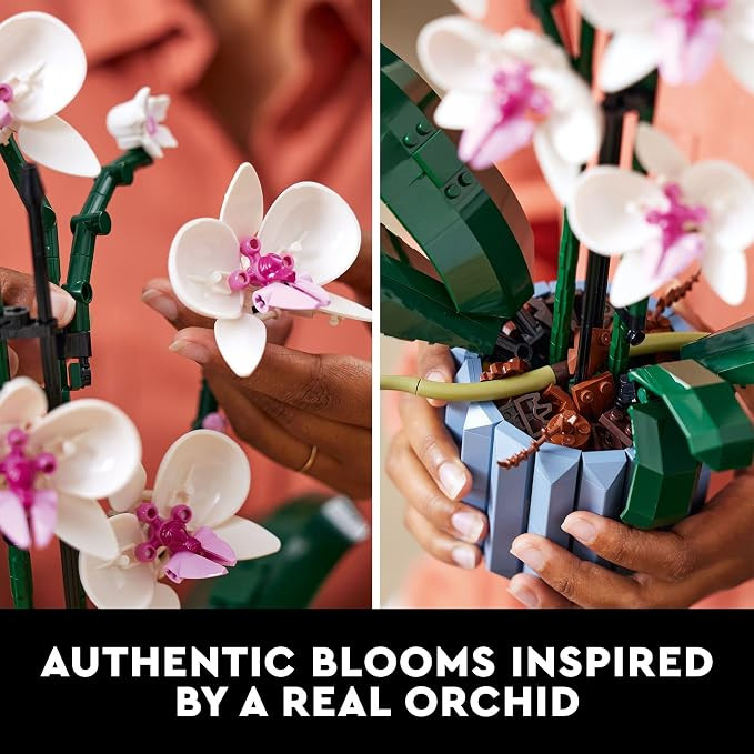 LEGO Icons Orchid 10311 Building Set for Adults (608 Pieces) | Amazon (US)