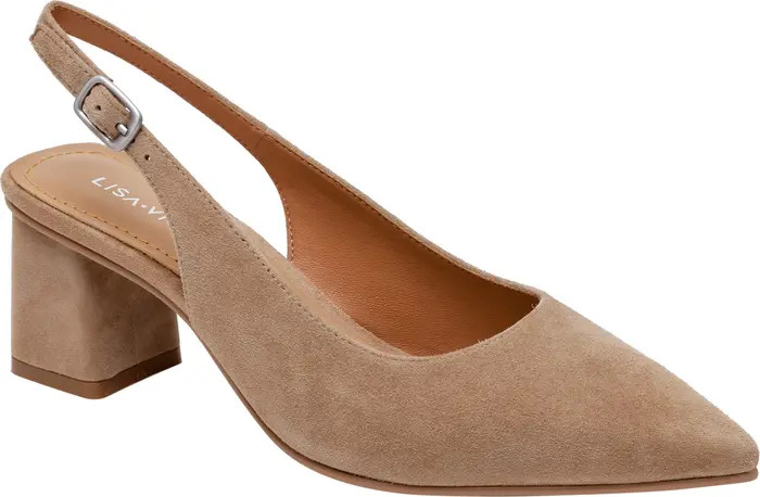 Zee Pointed Toe Slingback Pump (Women) | Nordstrom