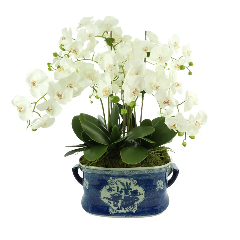 Orchid Arrangement in Planter | Wayfair North America
