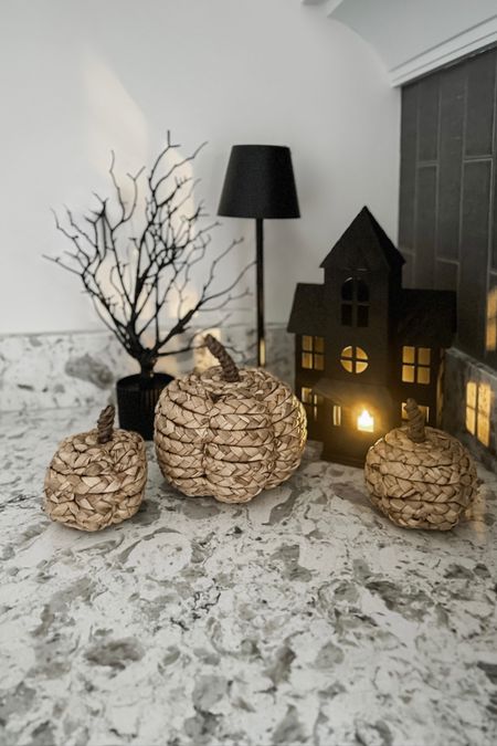 Love these little cuties in a nook in our living room. The spooky house even lights up! (Plus, it will easily transition to autumn / harvest decor after Halloween). This spooky tree is from Bullseye’s Playground, btw.

#LTKSeasonal #LTKHalloween #LTKhome