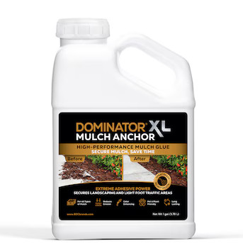 DOMINATOR 1 Gallons Clear Adhesive Rock, Pea, Gravel Mulch glue | Lowe's