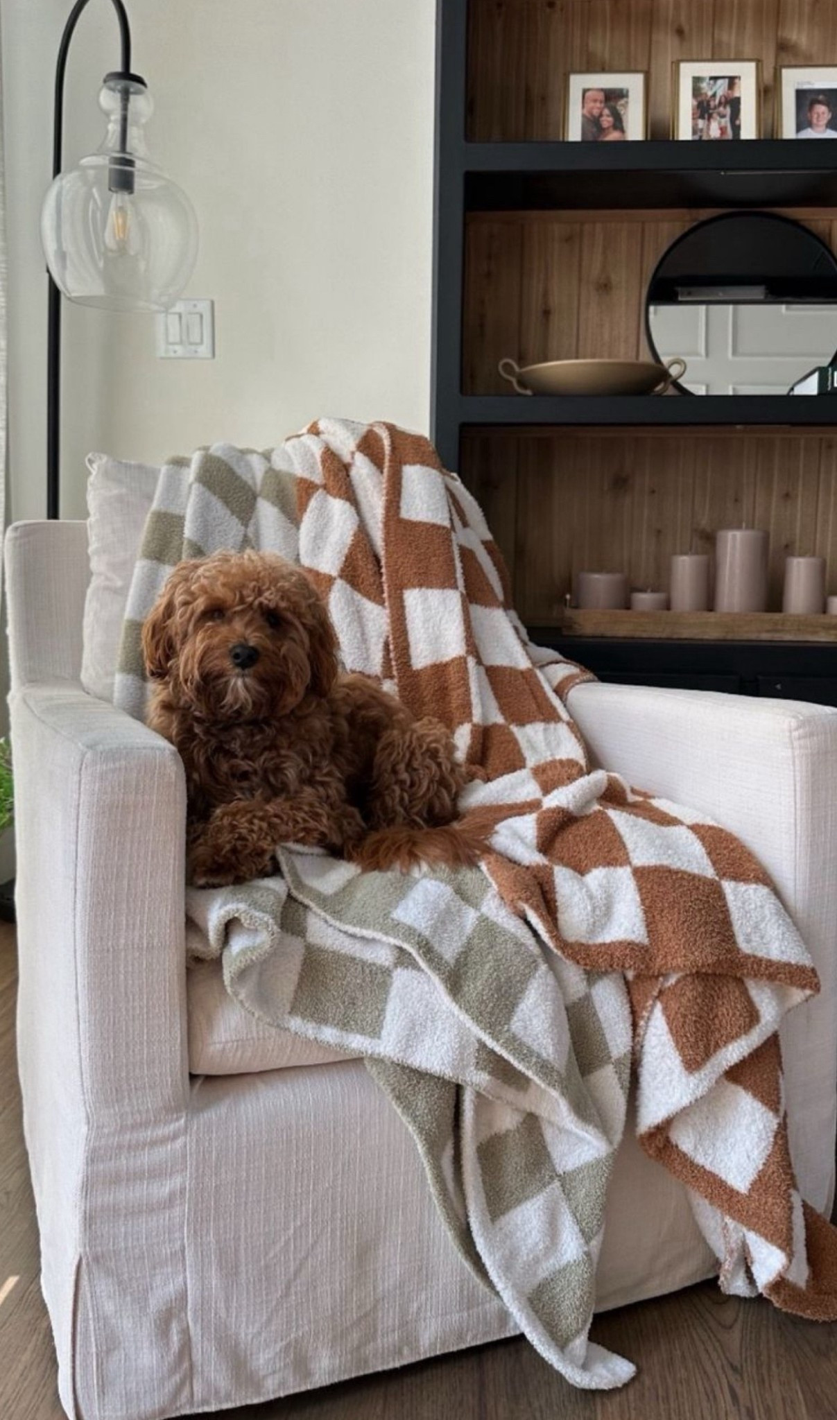 Our favorite Amazon blankets! We have them all throughout the house in so many colors! 

Home decor 
Amazon home 
Amazon style 
Under $50

#LTKStyleTip #LTKHome #LTKFindsUnder50