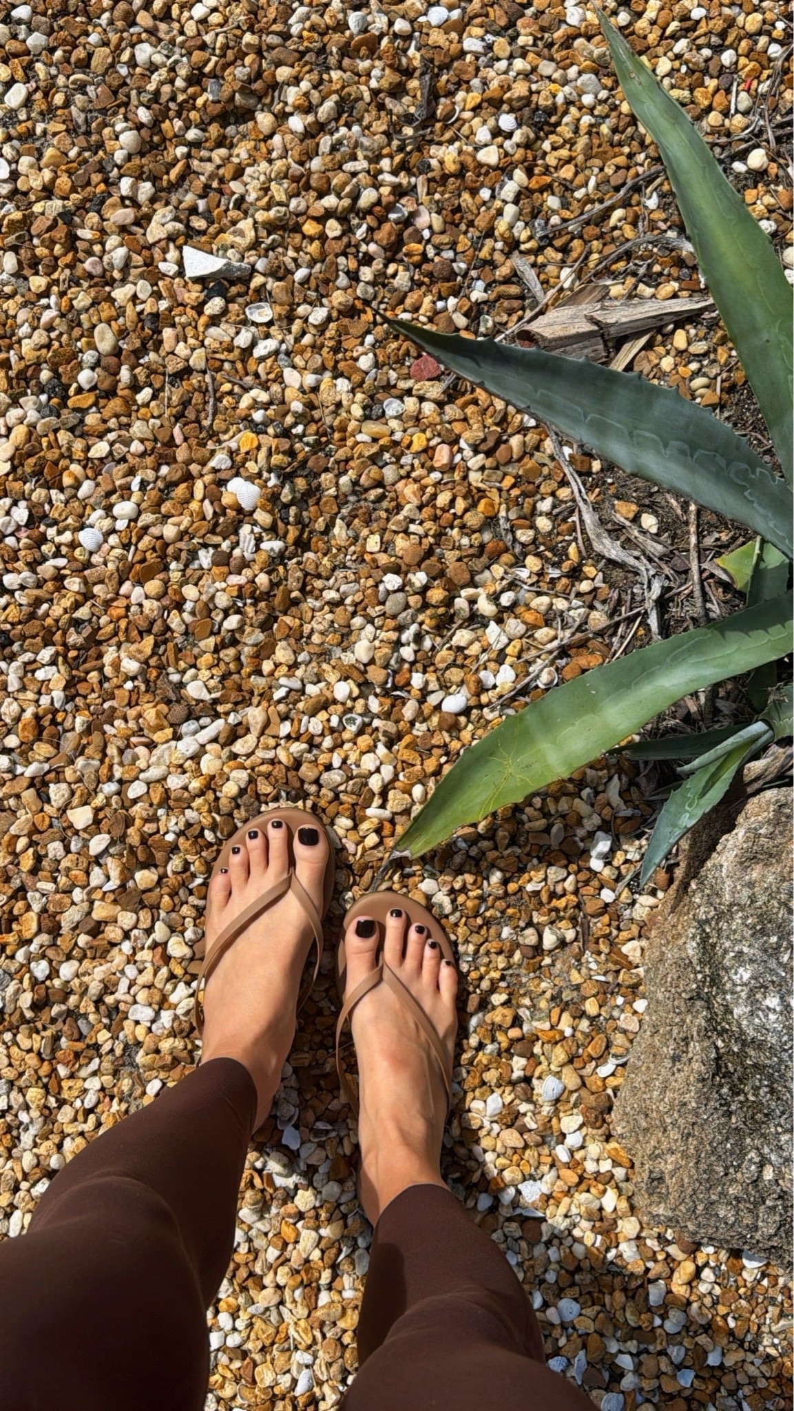 Okay, this is SO cool. 🤎 @TKEES gifted me their Lily Nudes and they come in 11 different shades designed to complement your skin tone. Basically, the nude flip-flop perfected. 🙌🏼

I’m wearing Beach Bum and the color is such a good match—minimal, barely-there and goes with literally everything. These are going to live by my door. 😂

Gifted by TKEES | Lily Nudes in Beach Bum 🤎

I linked mine + all the shades so you can find your nude!

#LTKdayinmylife #LTKgrwm #LTKootd