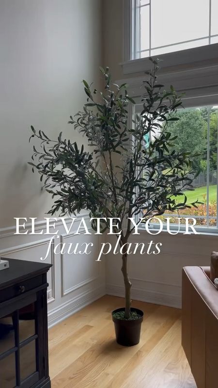 Elevate your faux plant with these simple steps I will show you here! 

Faux plant, planter, faux tree, faux olive tree, pottery barn, crate and barrel, amazon home, home decor, home, faux stems, faux florals, great room, 

#competition 

#LTKhome #LTKstyletip #LTKFind