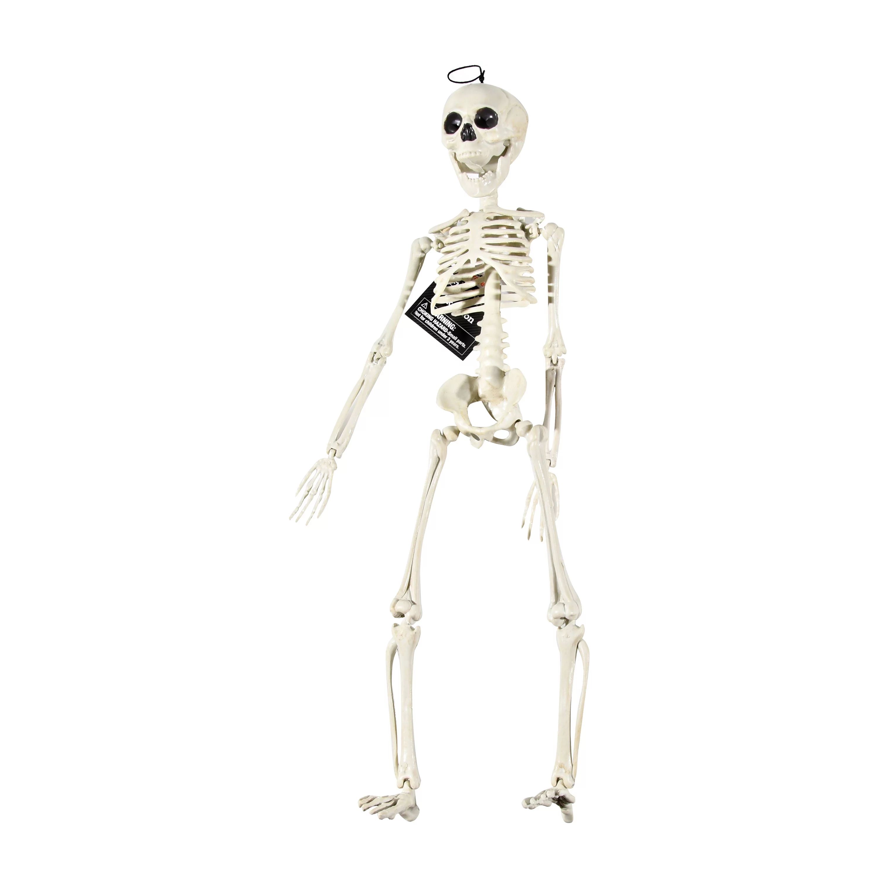 Way To Celebrate Halloween 20-Inch Skeleton - Walmart.com | Walmart (US)