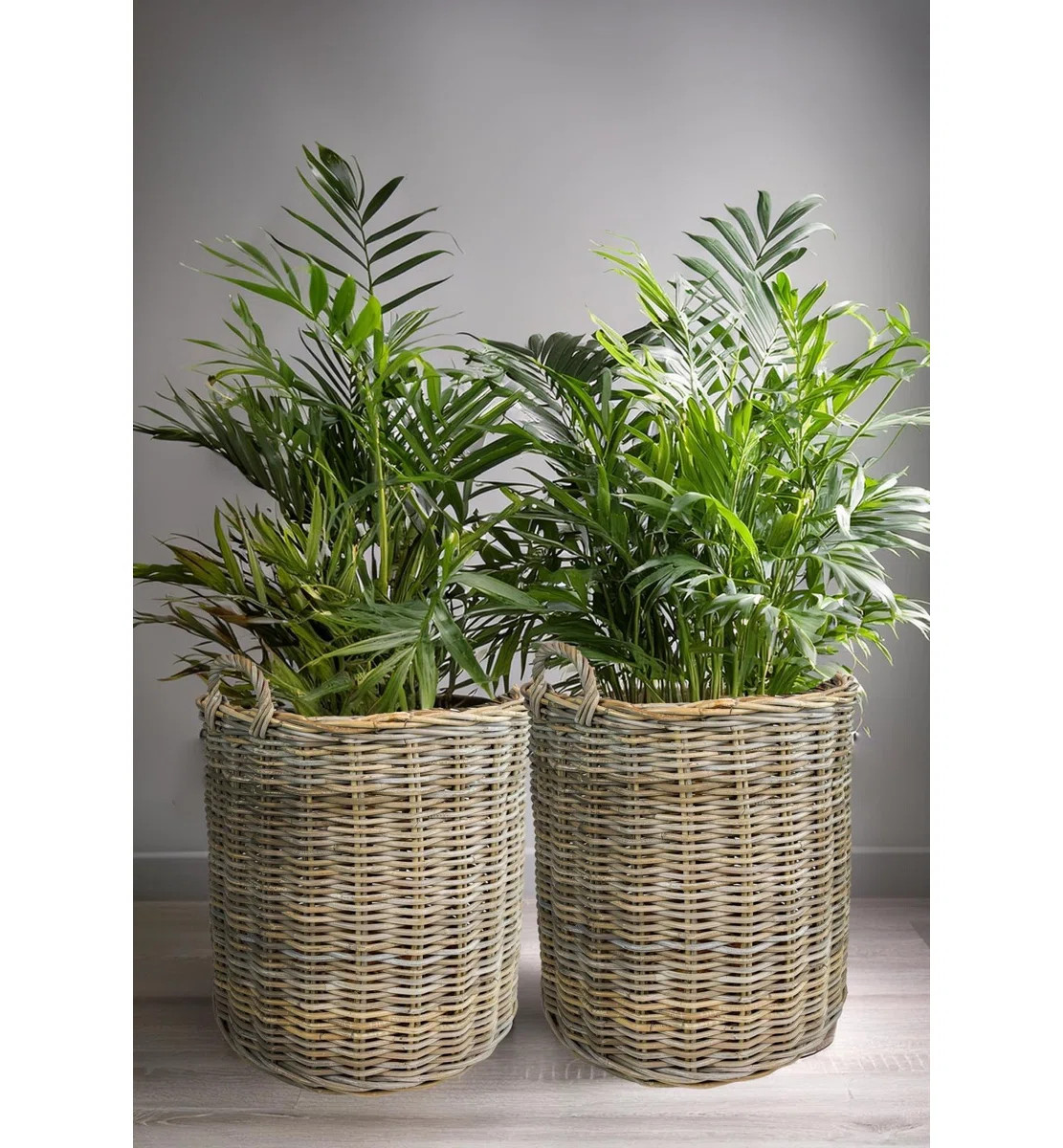 Set Of 2 Grey Round Rattan Baskets | Wayfair North America