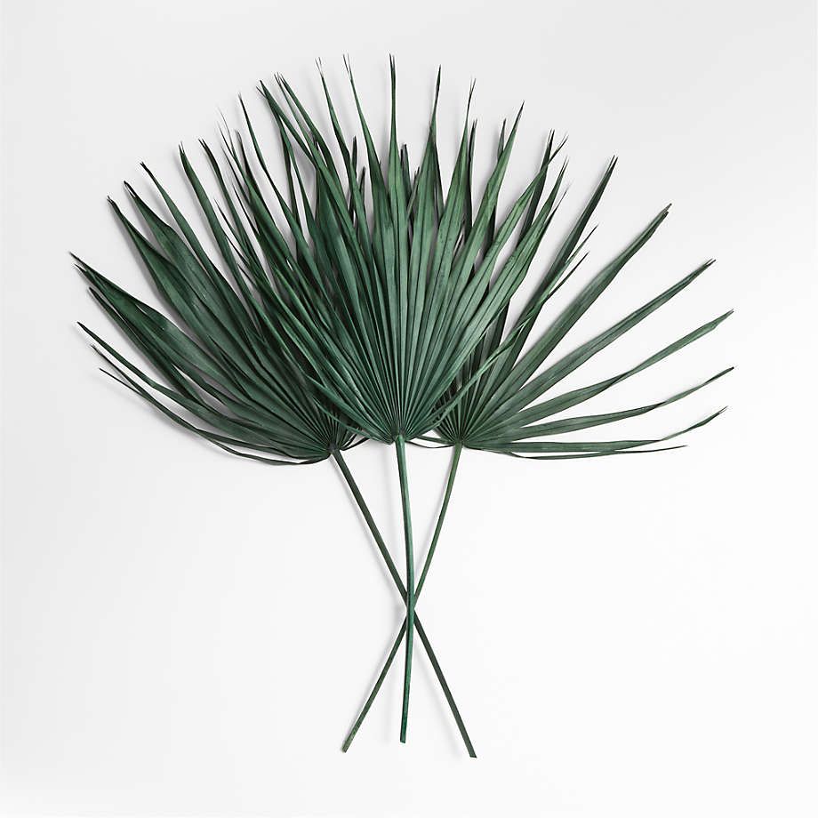 Large Green Dried Sun Palm Bunch + Reviews | Crate & Barrel | Crate & Barrel