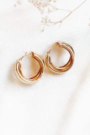 Alegra Earrings - Gold | Petal & Pup (US)