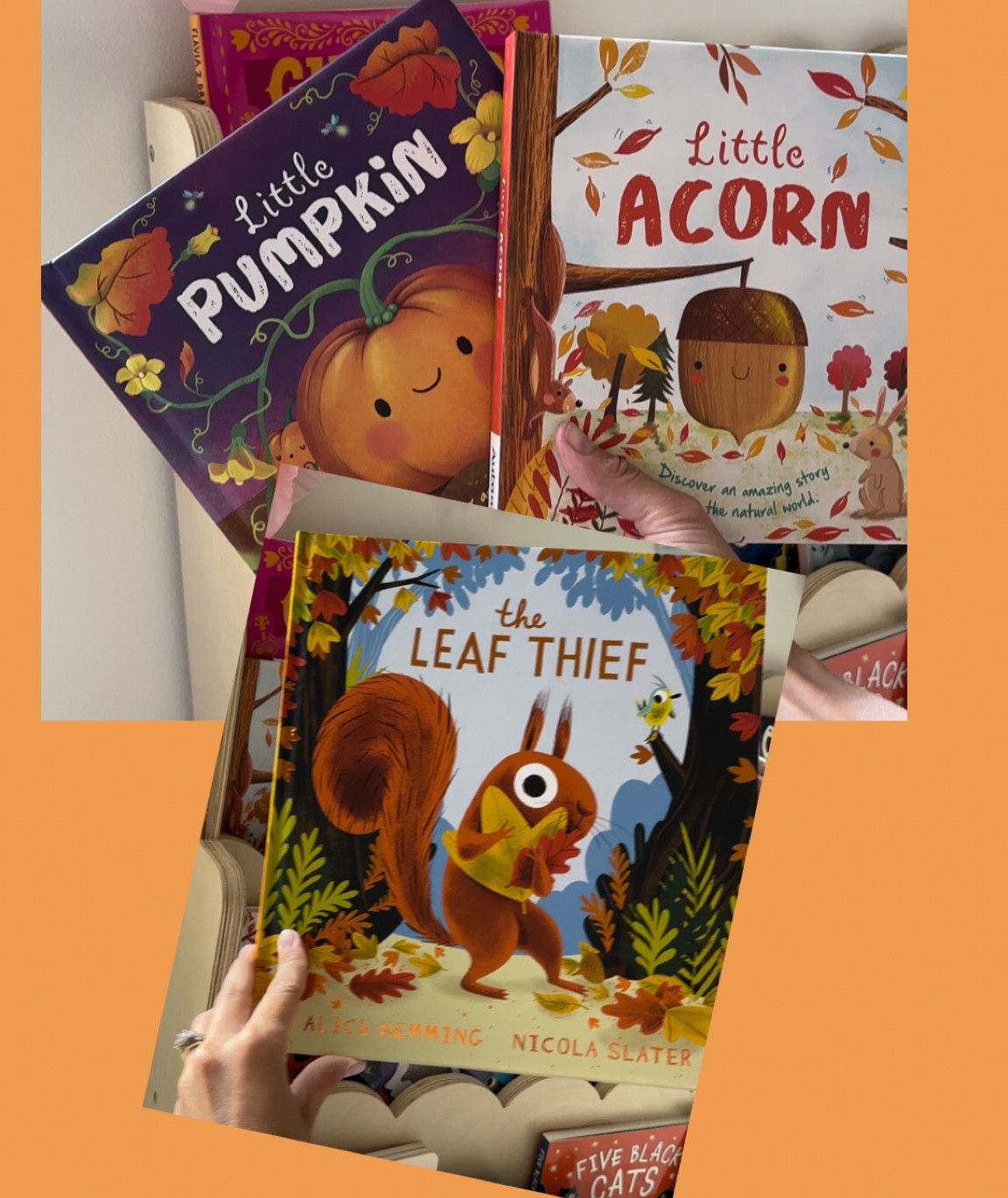 As everything very rapidly switches to HALLOWEEN, here are 3 of our favorite FALL books to ease you into the season 😁 🍁 🍂 