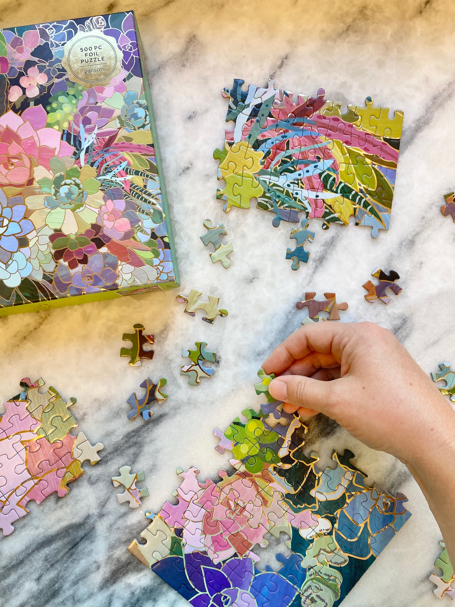 Gold foil succulent puzzle

#LTKGiftGuide #LTKhome #LTKfamily