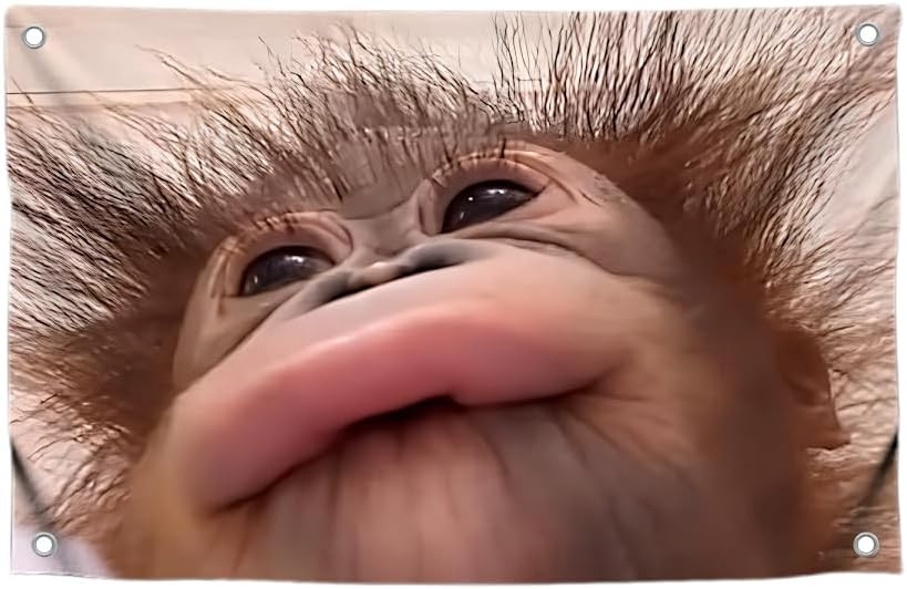 3x5 Feet Funny Flag Picture Cute Monkey with Four Brass Grommets - Single Sided Funny Flag Tapestry for Bedroom - Poster for College Dorm Boys and Girls - Polyester Meme Banner for Indoor or Outdoor | Amazon (US)