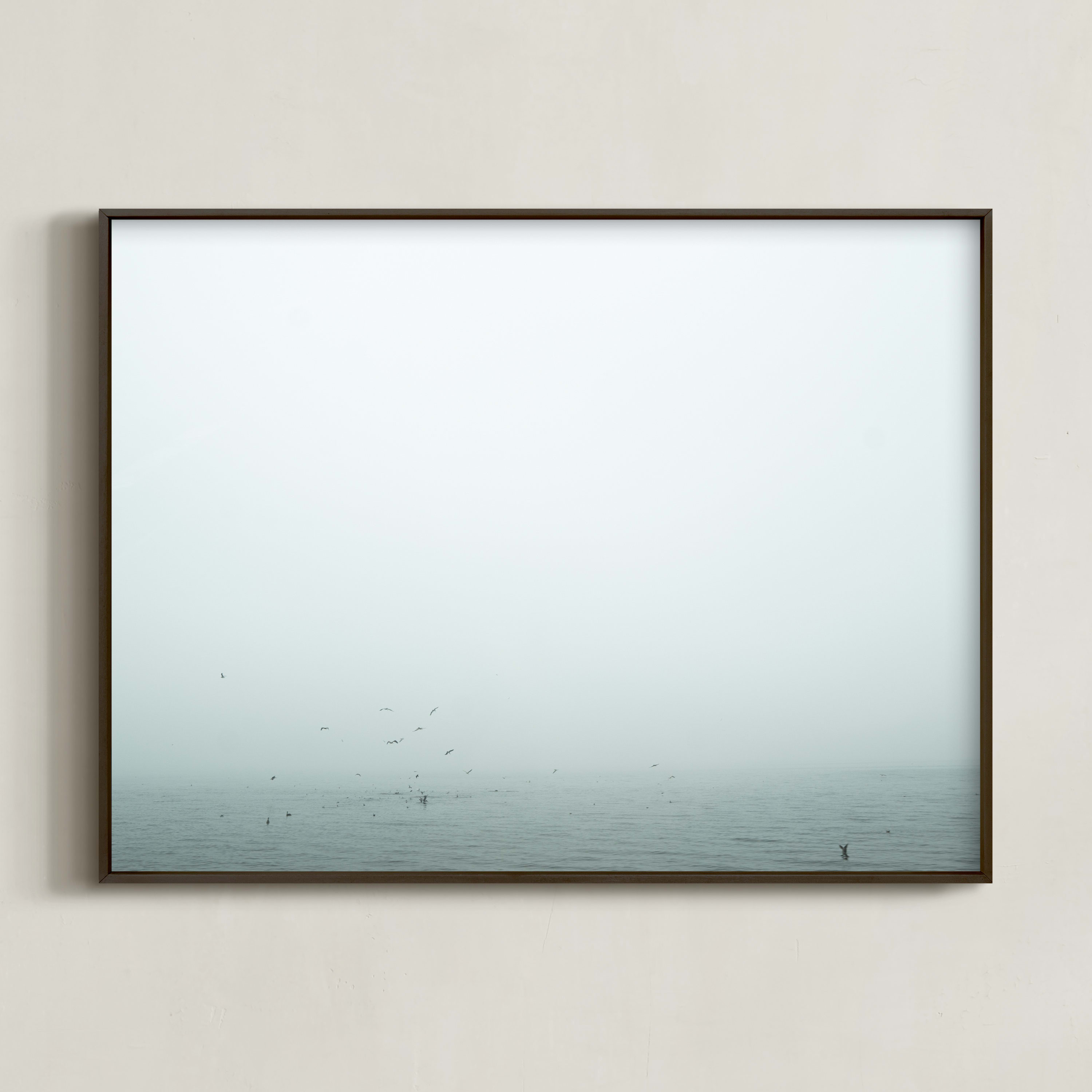 "Birds Diving for Fish" - Photography Limited Edition Art Print by Katie Buckman. | Minted