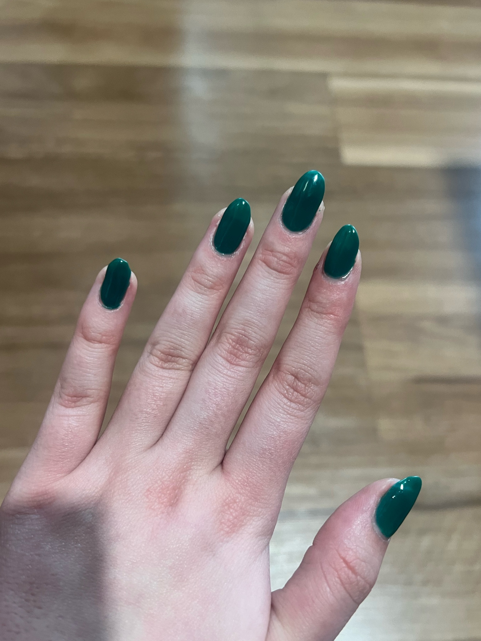 The most gorgeous Christmas Emerald Green!!

#LTKHoliday #LTKSeasonal